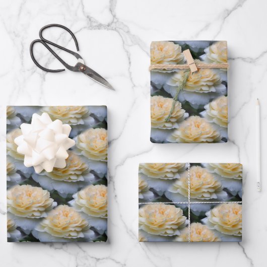 Feuille De Papier Cadeau Fleur de rose jaune doux Nature Motif   (Recto)