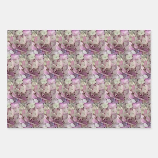 Feuille De Papier Cadeau Fleur d'Hydrangée Blanche, Rose, Violet - Floral (Devant)