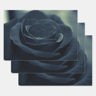 Feuille De Papier Cadeau Fleur noire Rose Vibe gothique foncé