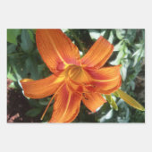 Feuille De Papier Cadeau Fleur orange Lily photo avec Parties scintillant v (Devant)