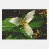Feuille De Papier Cadeau Fleur sauvage de printemps blanc Trillium Flower (Devant 3)