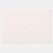 Feuille De Papier Cadeau Fleur sauvage de printemps Pastel (Devant 2)