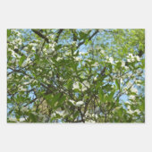 Feuille De Papier Cadeau Fleurs à puces de sorcière (Devant 2)