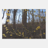 Feuille De Papier Cadeau Fleurs à puces de sorcière (Devant 3)