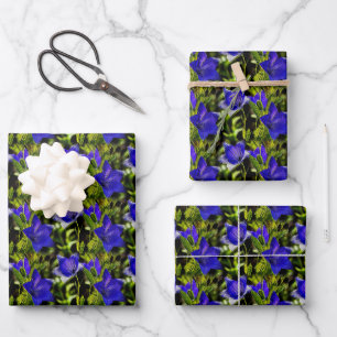 Feuille De Papier Cadeau Fleurs bleues Motif de la nature