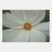 Feuille De Papier Cadeau Fleurs de Cosmos Rose Fleur Sauvage (Devant 3)