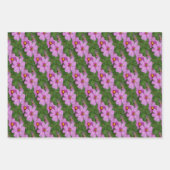 Feuille De Papier Cadeau Fleurs de Cosmos rose Motif naturel (Devant 2)