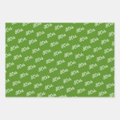 Feuille De Papier Cadeau Fleurs de Delphinium Bleu coordonnées (Devant 3)