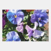 Feuille De Papier Cadeau Fleurs de Pansy Violet Grandes et Solides (Devant)