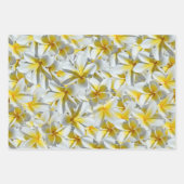Feuille De Papier Cadeau Fleurs Frangipaniennes Jaunes Et Blanches, (Devant 2)