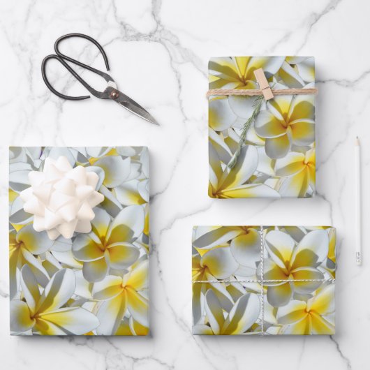 Feuille De Papier Cadeau Fleurs Frangipaniennes Jaunes Et Blanches, (Recto)
