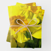 Feuille De Papier Cadeau Fleurs jonquilles jaunes (En situation)