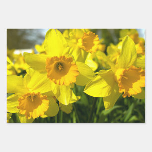 Feuille De Papier Cadeau Fleurs jonquilles jaunes