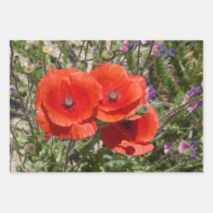 FEUILLE DE PAPIER CADEAU FLEURS POPPY