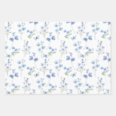 Feuille De Papier Cadeau Fleurs sauvages et papillons élégants (Devant)