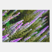 Feuille De Papier Cadeau Fleurs sauvages pourpres et verts (Devant 2)