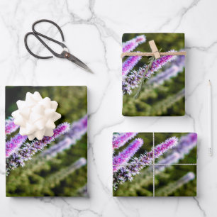 Feuille De Papier Cadeau Fleurs sauvages pourpres et verts