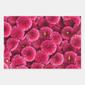 Feuille De Papier Cadeau Floral (Devant 3)