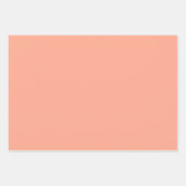 Feuille De Papier Cadeau Floral Pastel Motif Tranquillité (Devant 3)