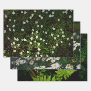 Feuille De Papier Cadeau Flore de forêt éthérée, série de 3 photos d'art