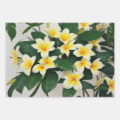 Feuille De Papier Cadeau Flower tropical (Devant)