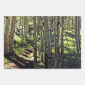 Feuille De Papier Cadeau Forêt d'arbres d'Aspens (Devant)