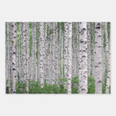 Feuille De Papier Cadeau Forêt de Birch Nature (Devant 2)