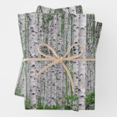 Feuille De Papier Cadeau Forêt de Birch Nature (En situation)