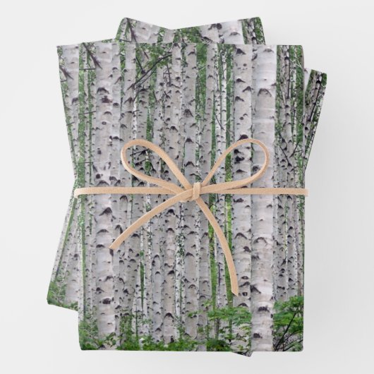 Feuille De Papier Cadeau Forêt de Birch Nature (En situation)