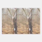 Feuille De Papier Cadeau forêt hivernale (Devant 2)