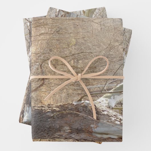 Feuille De Papier Cadeau forêt hivernale (En situation)