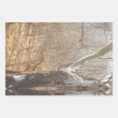 Feuille De Papier Cadeau forêt hivernale (Devant)