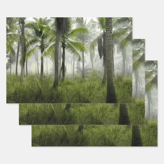 Feuille De Papier Cadeau Forêt tropicale de palmiers (Lot)