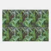 Feuille De Papier Cadeau fougères du PNW (Devant 3)