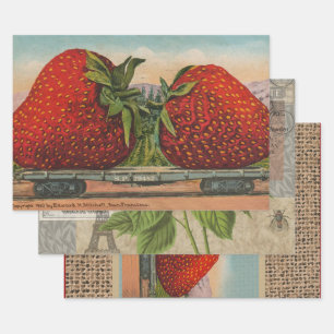Feuille De Papier Cadeau Fraises Giant Fruit Antique Fruit Amusant