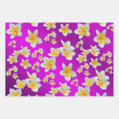 Feuille De Papier Cadeau frangipanier, pétale, fleur, design, fleur, fleurs (Devant)