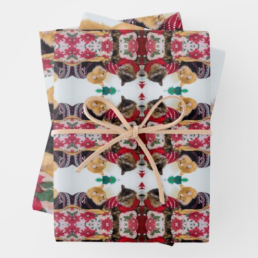 Feuille De Papier Cadeau Frères (En situation)