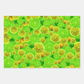 Feuille De Papier Cadeau Fruits d'agrumes, citron et chaux (Devant)