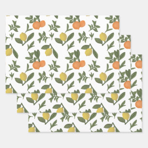 Feuille De Papier Cadeau Fruits d'agrumes Yuzu et olivier orange