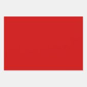Feuille De Papier Cadeau Fun Festive Modern Chic Solid Red (Devant 3)