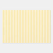 Feuille De Papier Cadeau Fun Summer Watermelon Boissons et Popsicles (Devant 2)