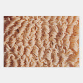 Feuille De Papier Cadeau Funny Ramen Noodles Photo (Devant 2)