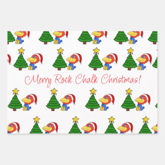 Feuille De Papier Cadeau Geai bébé de Noël