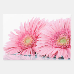 Feuille De Papier Cadeau Gerbera Rose Daisies Élégante Photographie