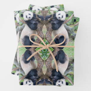 Feuille De Papier Cadeau Giant Panda in a Tree Wrapping Paper Sheets