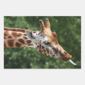 Feuille De Papier Cadeau Girafe avec langue épuisée (Devant 3)