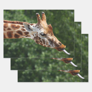 Feuille De Papier Cadeau Girafe avec langue épuisée