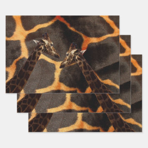 Feuille De Papier Cadeau Giraffes exotiques, Ensemble d'enveloppes cadeaux