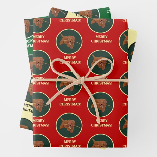 Feuille De Papier Cadeau Goldie Golden Doodle (En situation)