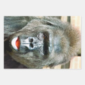FEUILLE DE PAPIER CADEAU GORILLA FRAÎCHE (Devant)